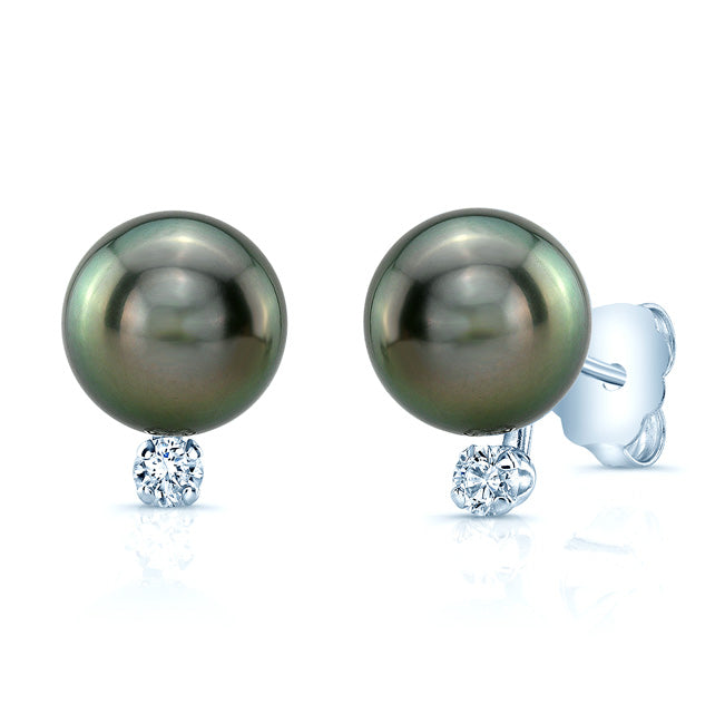 Black South Sea Pearl & Diamond Earrings In 14k White Gold