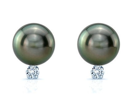 Black South Sea Pearl & Diamond Earrings In 14k White Gold