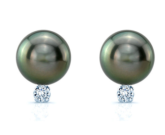 Black South Sea Pearl & Diamond Earrings In 14k White Gold