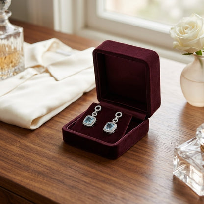 Aquamarine And Diamond Earrings In 14k White Gold — velvet box